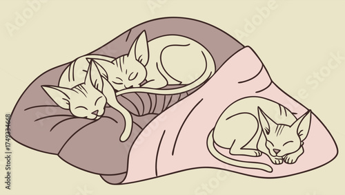 Cute Sphynx Cats Sleeping Peacefully in Cozy Pet Bed Vector Illustration for Pet Care, Home Decor, and Relaxation Design