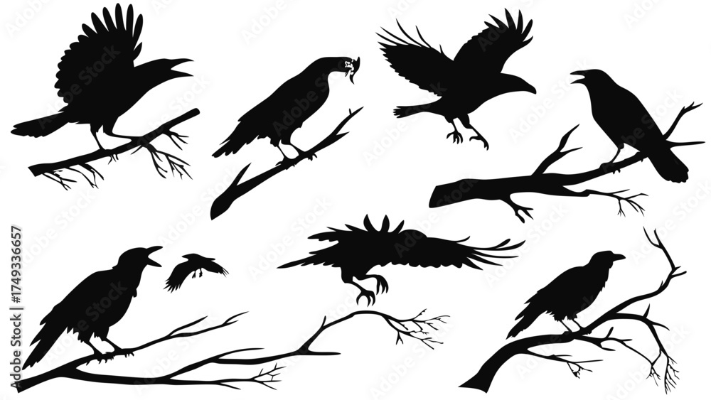 Obraz premium Flying Crow and Perching Raven Silhouettes Vector Set. Dark Mysterious Birds for Halloween Design, Nature Illustration, and Graphic Elements