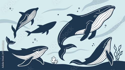 Blue and white vector illustration of a diverse group of stylized whales swimming in the deep ocean. Flat design marine mammal set with underwater elements and clean lines.