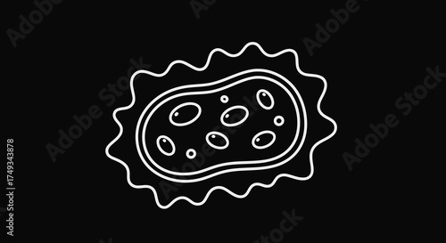 Simple white line drawing of a cartoon bacterium with internal organelles on black background silhouette