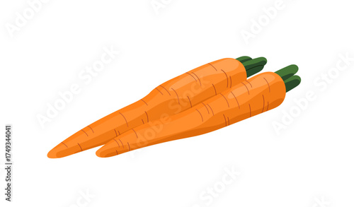 Icon of ripe orange carrots with green tops. Natural root vegetable, raw veggie. Healthy food, organic eating. Farm harvest, agriculture crop. Flat isolated vector illustration on white background