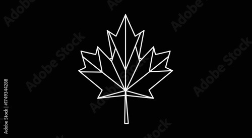 Geometric white outline of a maple leaf on a black background silhouette