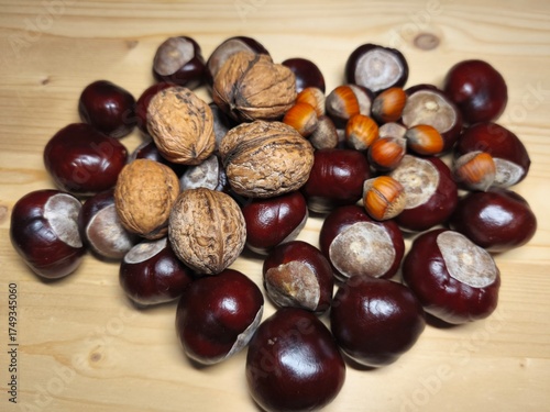 Walnuts and Chestnuts on Wooden Table