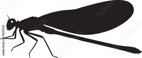 Black silhouette of a damselfly or dragonfly. Vector icon of an Odonata insect isolated on white