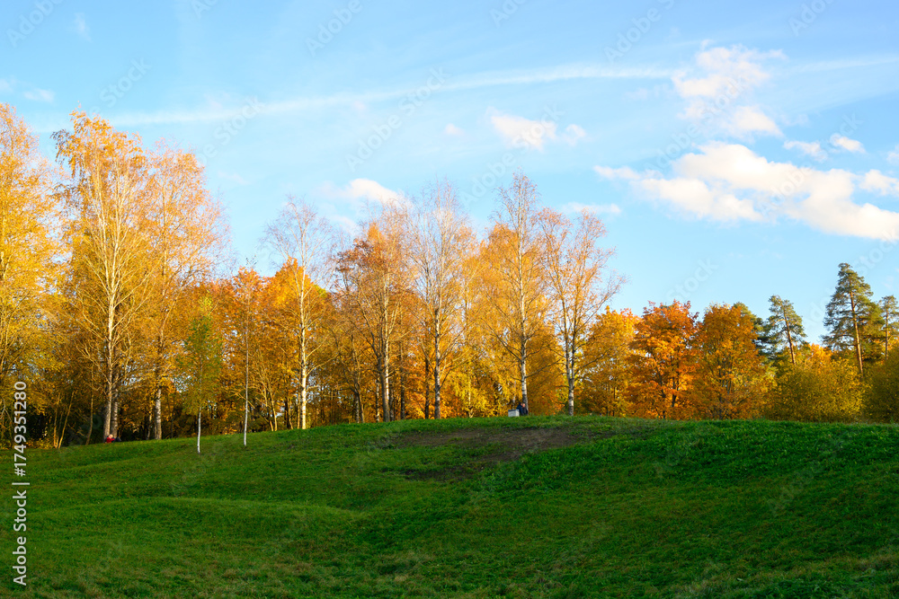 Naklejka premium Bright yellow autumn trees on green hill against blue sky.