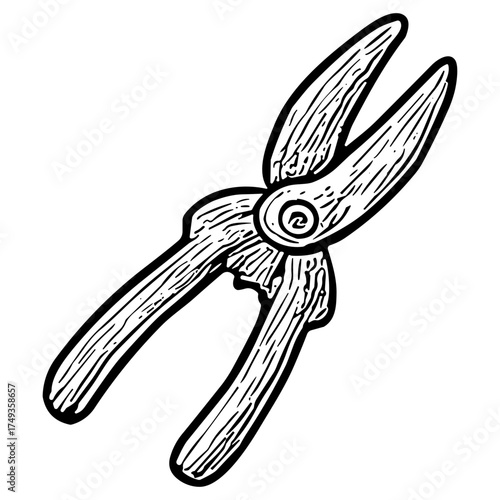 Pruning Shears