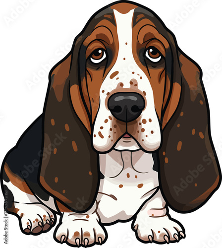 Basset Hound Breed Illustrations for clipart Dog white color background 
