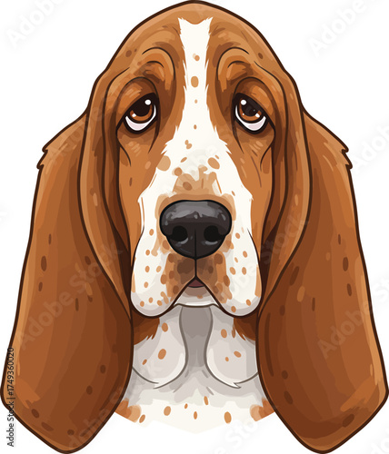 Basset Hound Breed Illustrations for clipart Dog white color background 
