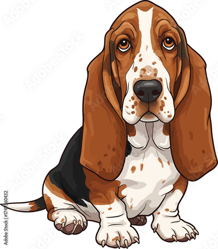Basset Hound Breed Illustrations for clipart Dog white color background 
