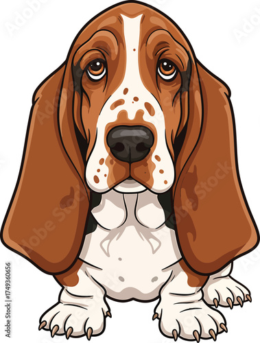 Basset Hound Breed Illustrations for clipart Dog white color background 

