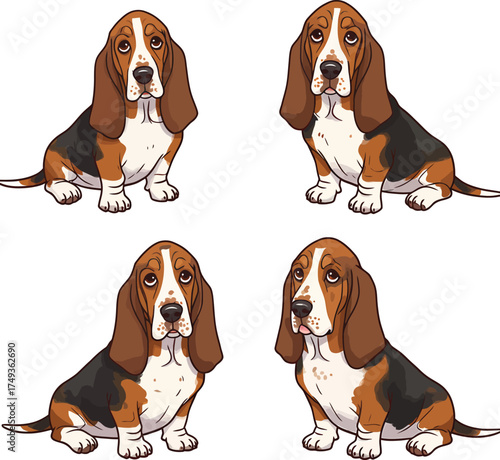 Basset Hound Breed Illustrations for clipart Dog white color background 
