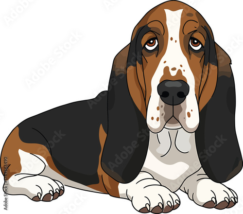Basset Hound Breed Illustrations for clipart Dog white color background 
