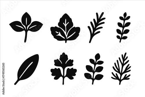Herb Icon Collection. Herbs. Filled icon set of Herbs: basil leaf, mint leaf, rosemary sprig, thyme sprig,