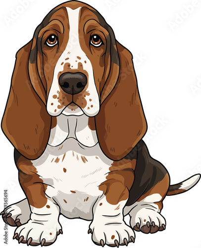 Basset Hound Breed Illustrations for clipart Dog white color background 
