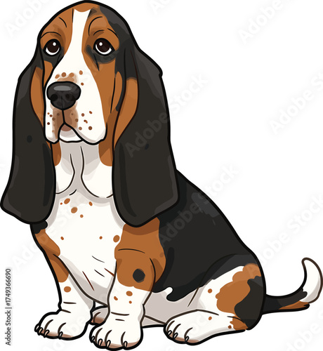 Basset Hound Breed Illustrations for clipart Dog white color background 

