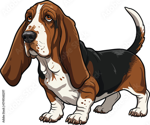 Basset Hound Breed Illustrations for clipart Dog white color background 
