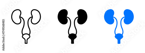 Kidney icon representing human anatomy, health, and medical studies, suitable for healthcare, urology, organ donation, and biology-related design projects