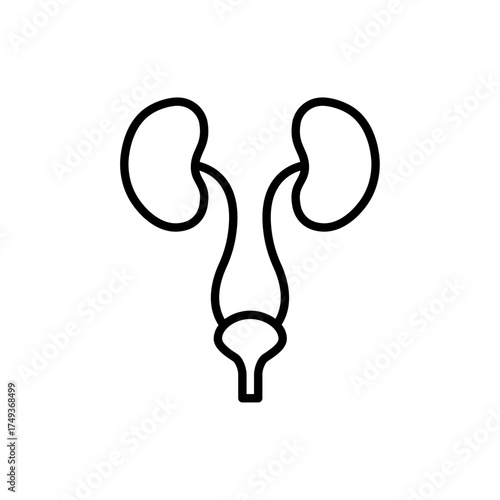 Kidney icon representing human anatomy, health, and medical studies, suitable for healthcare, urology, organ donation, and biology-related design projects