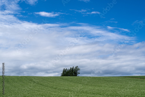 Wallpaper Mural Green fields on the hills and blue summer sky Torontodigital.ca