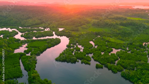 Aerial view of the Anavilhanas archipelago, featuring a flooded Amazonia forest with winding waterways at sunrise, Rio Negro, Brazil.