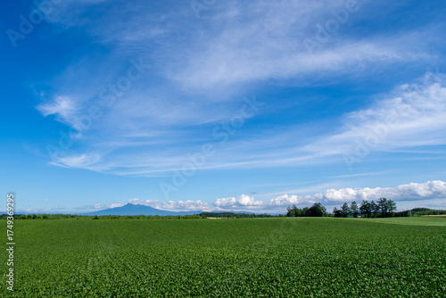 Wallpaper Mural Mt. Sharidake stands peacefully beyond a vast green field Torontodigital.ca