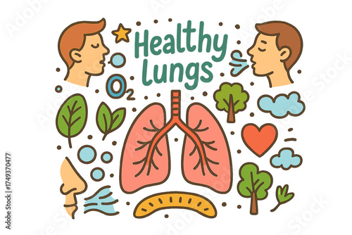 Healthy Lungs Illustration. Healthy lungs. Hand-drawn doodle illustration of Healthy lungs. lungs, oxygen