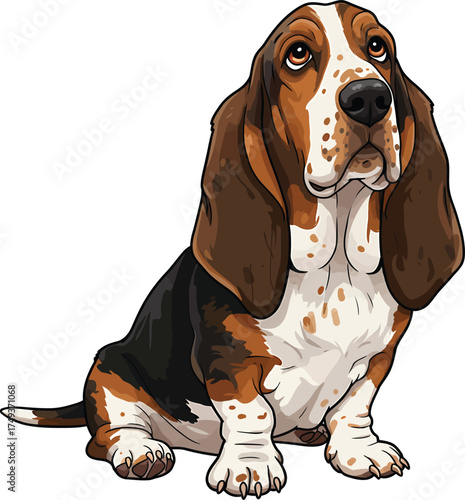 Basset Hound Breed Illustrations for clipart Dog white color background 
