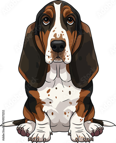 Basset Hound Breed Illustrations for clipart Dog white color background 
