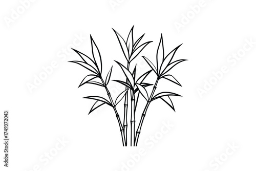 Delicate botanical illustration of bamboo stalks a striking black silhouette