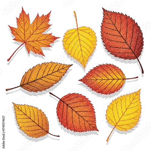 Illustration of several different autumn leaves in various shades of yellow, orange, and red, scattered on a white background.