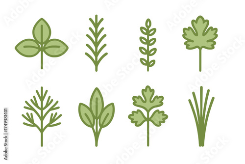 Collection of various green culinary herbs and leafy plants icons representing natural ingredients