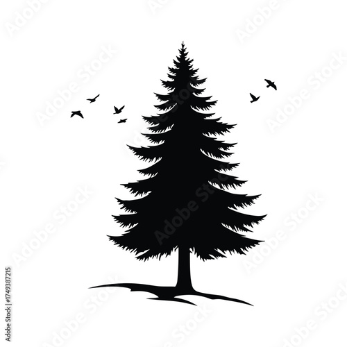 Silhouette of a tall evergreen tree with birds flying around it isolated on white background