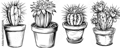 Illustration of a potted cactus in black and white silhouette, featuring spiky details