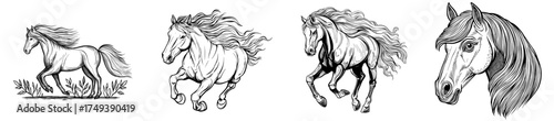 A galloping horse with a flowing mane forms a silhouette, representing freedom and strength