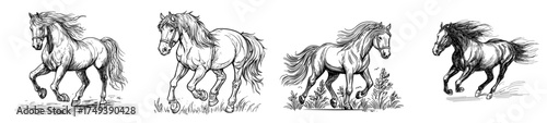 A galloping horse with a flowing mane is depicted in dynamic black silhouette on a white background