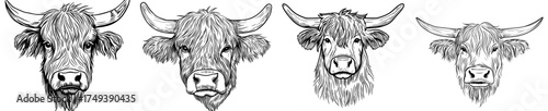 A dark outline of a bull's head featuring noticeable horns and a shaggy coat, representing power