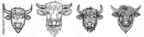 A buffalo head is depicted in a black and white silhouette, featuring notable horns and a shaggy coat of fur