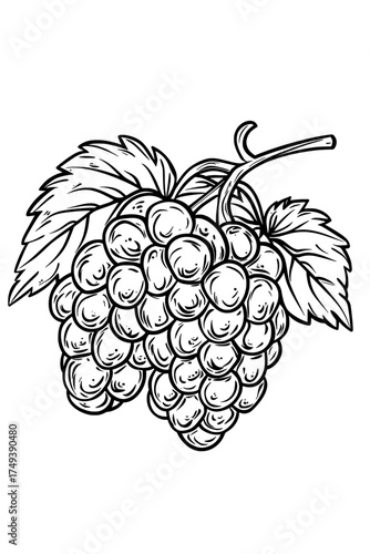 Black and white modern silhouette of a grape cluster including a leaf and a stem