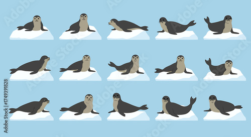 Fifteen seals resting on individual ice floes against a blue background