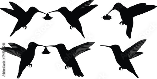 Hummingbird silhouettes flying with flowers, decorative vector illustration of birds in flight, floral feeding design, nature wildlife art isolated