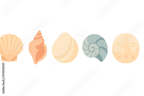 Colorful collection of various marine seashells and a sand dollar isolated on white