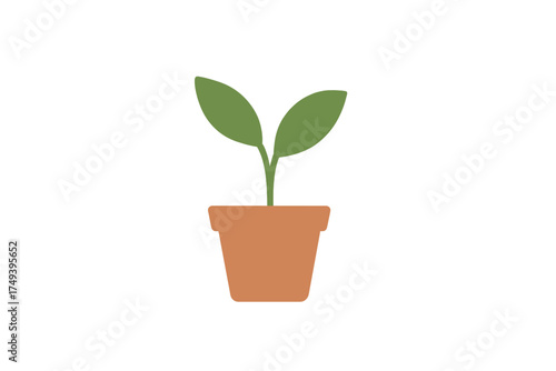 Young green seedling with two leaves growing in a simple brown terracotta pot