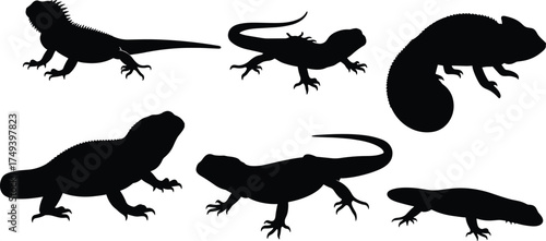 Black reptile and lizard silhouettes set isolated on white background, vector illustration collection for wildlife, nature, animals, herpetology, education