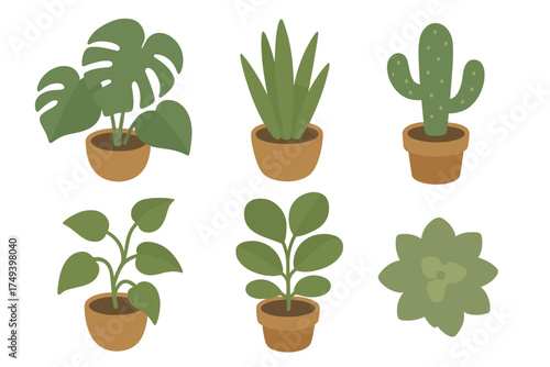 Set of various popular green potted houseplants and succulents in terracotta pots