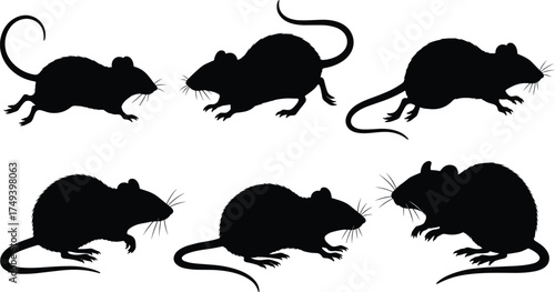 Black rat silhouettes collection showing rodents in various poses with tails, whiskers, ears, claws, isolated vector illustration for design