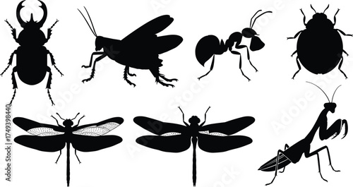 Black insect silhouettes collection with beetle, ant, cricket, dragonfly, praying mantis, vector illustration set for entomology, nature, wildlife, education