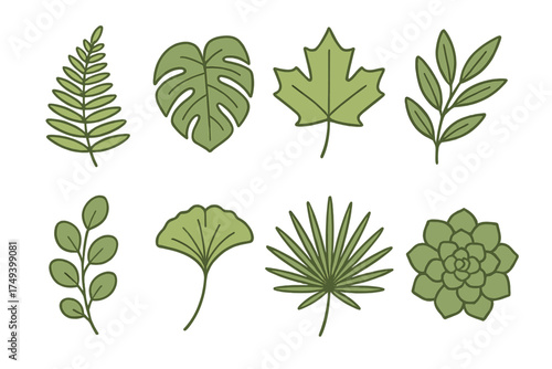 Diverse collection of green botanical elements including tropical leaves and succulent plants