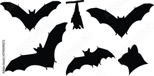 Black bat silhouettes flying and hanging upside down vector illustration set, Halloween spooky animal icons, nocturnal wildlife graphic design elements