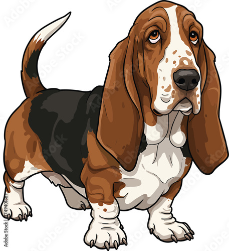 Basset Hound Vector Art of a Dog Breed Illustrations Collection with clipart