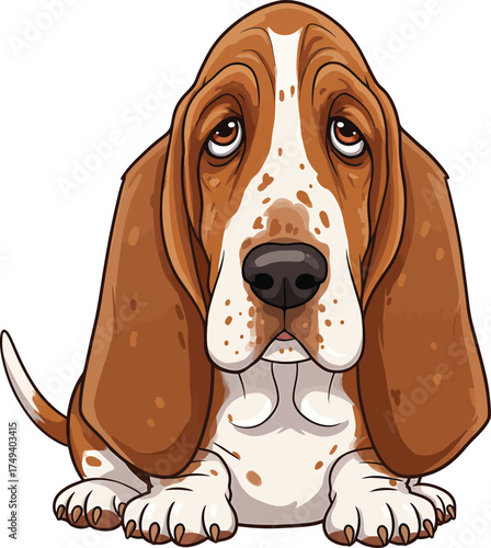Basset Hound Vector Art of a Dog Breed Illustrations Collection with clipart